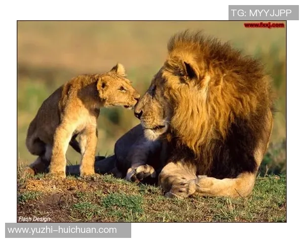 足球明星温暖瞬间与小孩的心灵对话与鼓励 足球明星温暖瞬间与小孩的心灵对话与鼓励