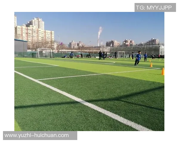 追逐梦想的绿茵场我的足球明星成长之路与心路历程 追逐梦想的绿茵场我的足球明星成长之路与心路历程